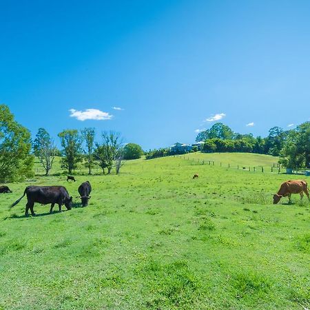 Jacaranda Creek Farmstay & B&B Sunshine Coast Zewnętrze zdjęcie