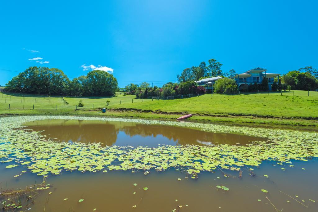 Jacaranda Creek Farmstay & B&B Sunshine Coast Zewnętrze zdjęcie